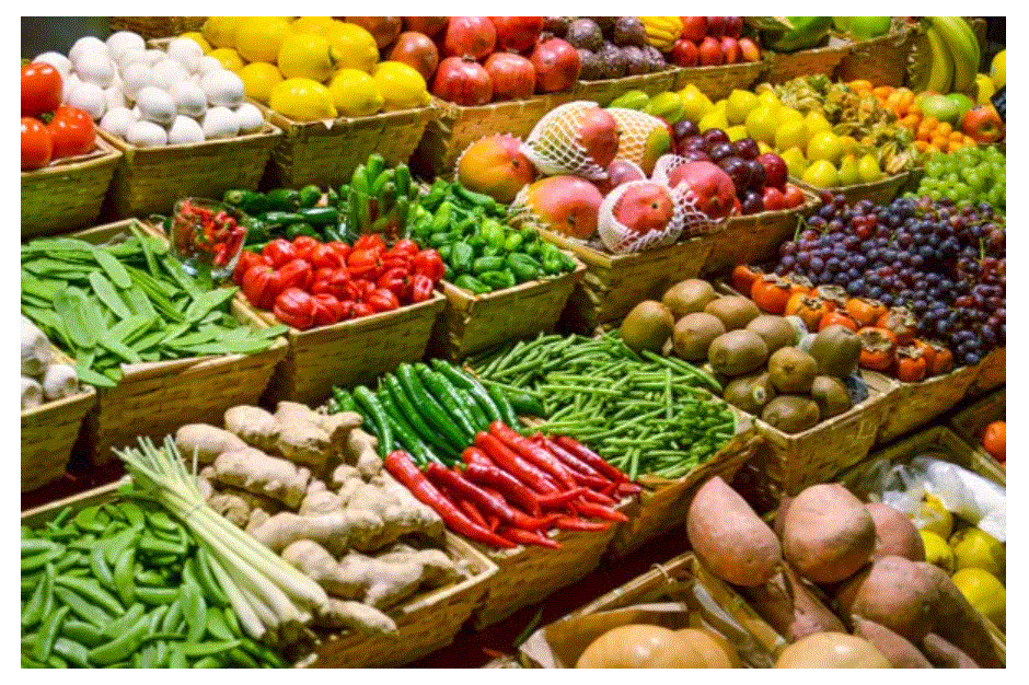 EDU-FRESHFOOD